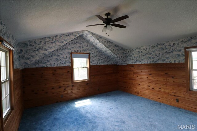 8286-8290 Commercial Blvd, Pevely, MO 63070 - photo 33