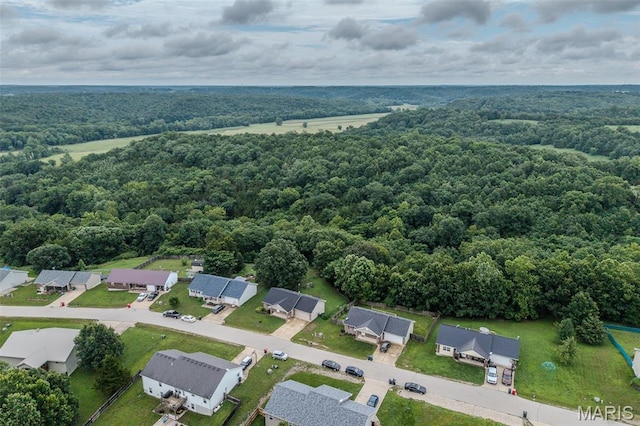 19182 Lonager Ln, Waynesville, MO 65583 - photo 57