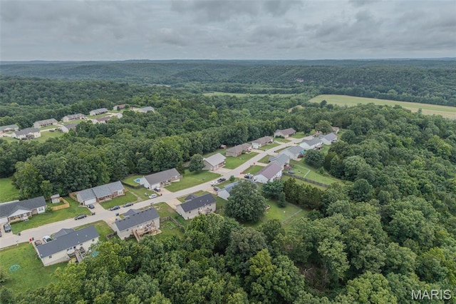 19182 Lonager Ln, Waynesville, MO 65583 - photo 58