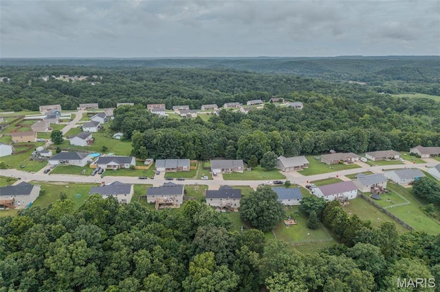 19182 Lonager Ln, Waynesville, MO 65583 - photo 59