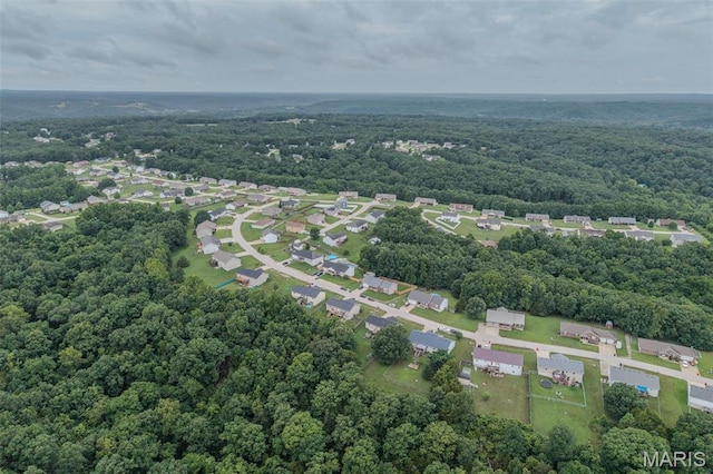 19182 Lonager Ln, Waynesville, MO 65583 - photo 61