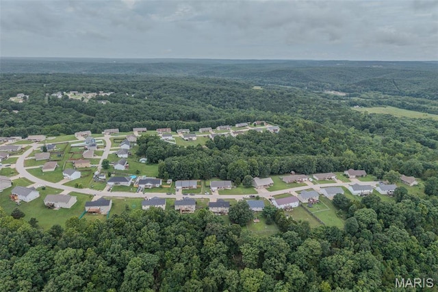 19182 Lonager Ln, Waynesville, MO 65583 - photo 62