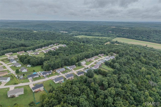 19182 Lonager Ln, Waynesville, MO 65583 - photo 63