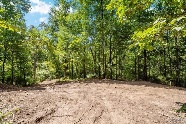 3225 Margaret Mary Ln, Belleville, IL 62221 - photo 14