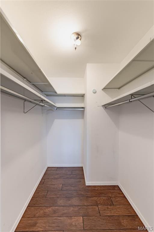 917 Claytonbrook Dr Unit 3, Ballwin, MO 63011 - walk in closet with hardwood / wood-style floors