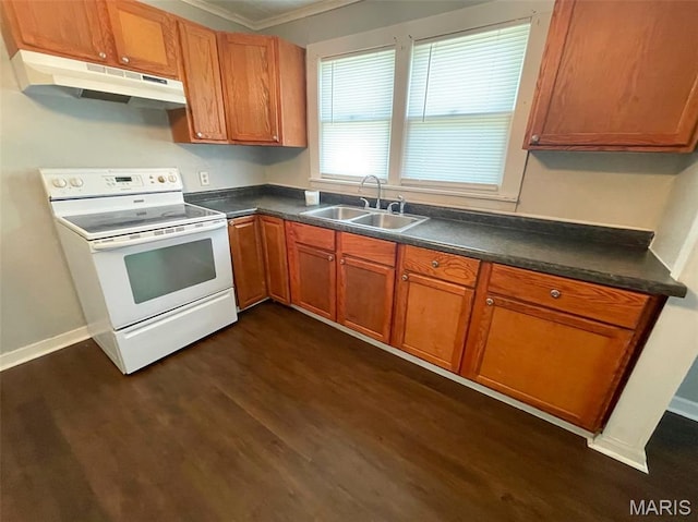 1309 E E Oak St, Dexter, MO 63841 - kitchen with electric stove, under cabinet range hood, dark wood-style floors, ornamental molding, and dark countertops