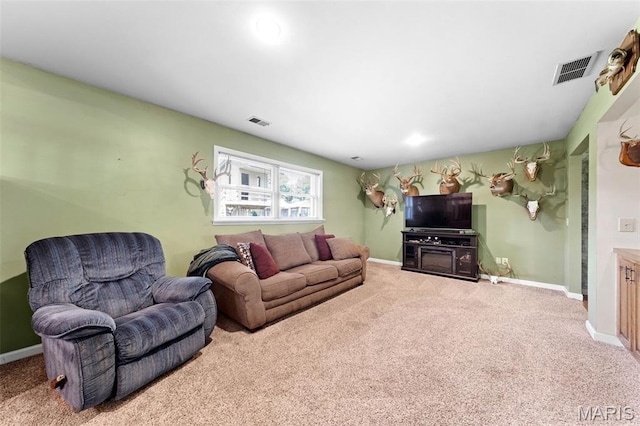 75 Cedar Creek Ln, Troy, MO 63379 - photo 21