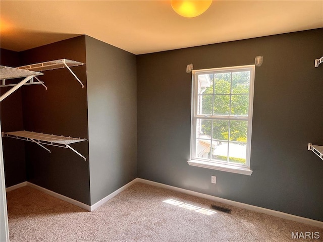 114 Cloverleaf Meadows Ct, Ofallon, MO 63366 - walk in closet with carpet flooring