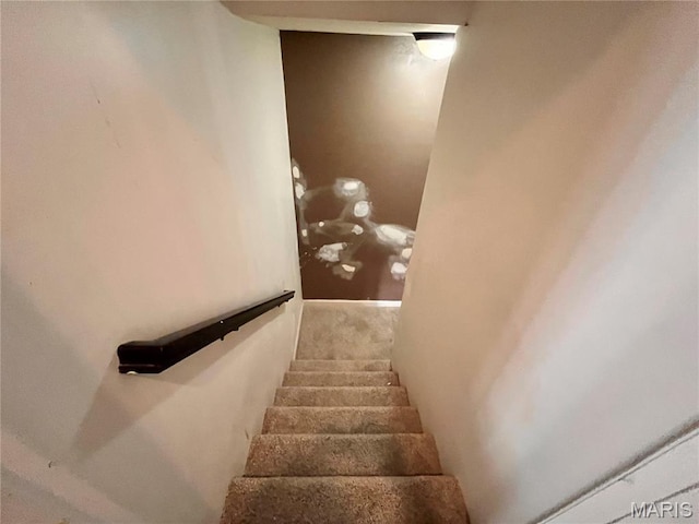 114 Cloverleaf Meadows Ct, Ofallon, MO 63366 - stairs featuring carpet flooring