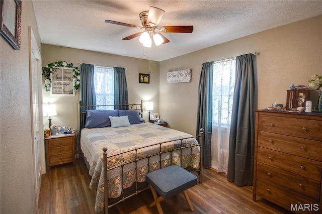 109 Hawbrook Pl, Jerseyville, IL 62052 - bedroom with wood finished floors, multiple windows, a ceiling fan, and a textured ceiling