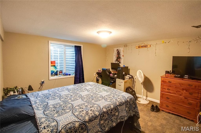 109 Hawbrook Pl, Jerseyville, IL 62052 - carpeted bedroom featuring a textured ceiling