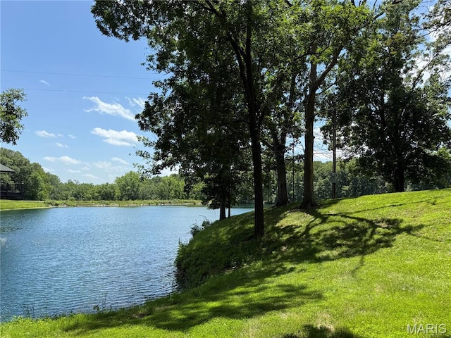 18994 Country Club Ln, Carlinville, IL 62626 - photo 15