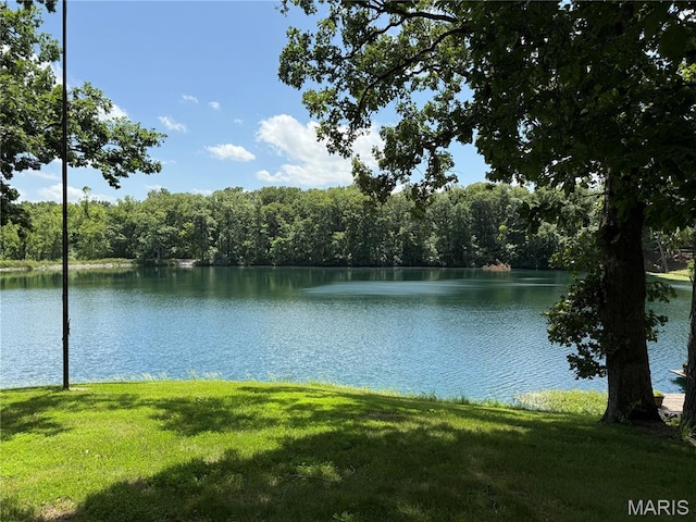 18994 Country Club Ln, Carlinville, IL 62626 - photo 18