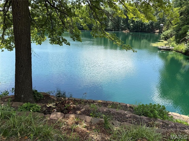 18994 Country Club Ln, Carlinville, IL 62626 - photo 22