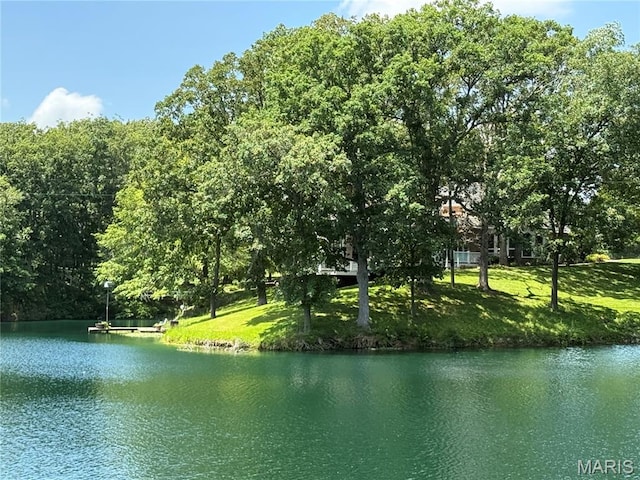 18994 Country Club Ln, Carlinville, IL 62626 - photo 31