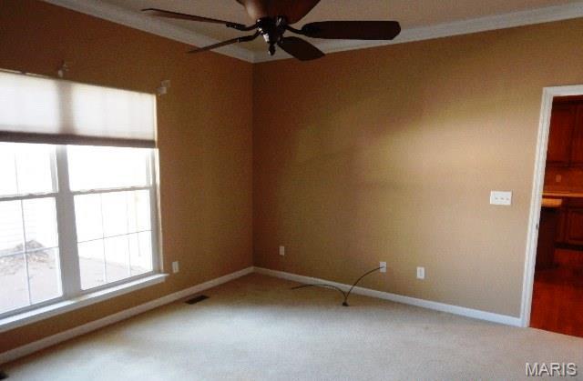 778 Queens Court Pl, Saint Peters, MO 63376 - photo 18