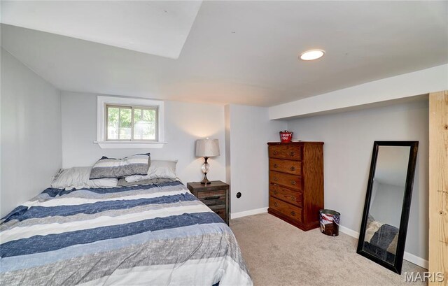 7102 Alabama Ave, Saint Louis, MO 63111 - photo 11