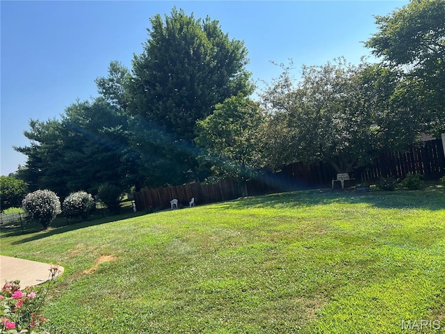 1386 Lilac Ln, Jackson, MO 63755 - photo 35