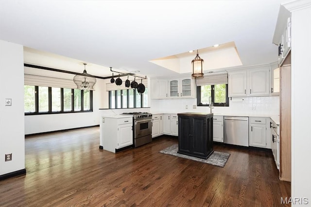 512 Overlook Terrace Ct, Eureka, MO 63025 - kitchen featuring appliances with stainless steel finishes, a peninsula, a tray ceiling, white cabinetry, and dark wood finished floors