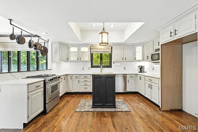 512 Overlook Terrace Ct, Eureka, MO 63025 - kitchen with appliances with stainless steel finishes, a tray ceiling, decorative backsplash, dark wood finished floors, and light countertops
