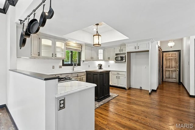 512 Overlook Terrace Ct, Eureka, MO 63025 - kitchen featuring stainless steel microwave, glass insert cabinets, dark wood-type flooring, pendant lighting, and a tray ceiling