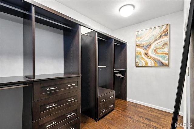 512 Overlook Terrace Ct, Eureka, MO 63025 - walk in closet with dark wood-style floors