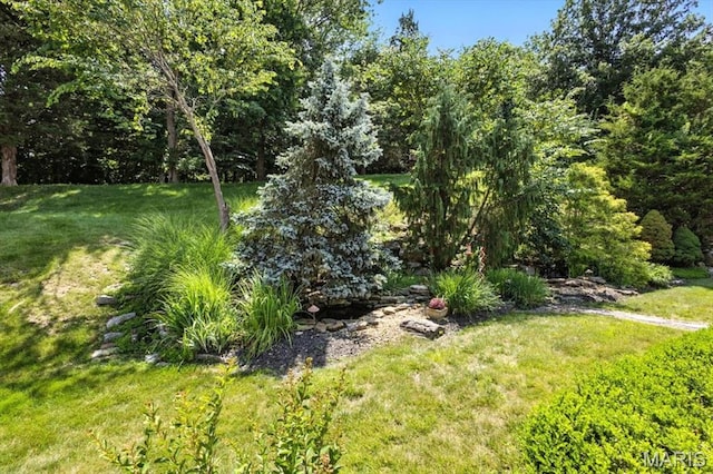 512 Overlook Terrace Ct, Eureka, MO 63025 - view of green lawn