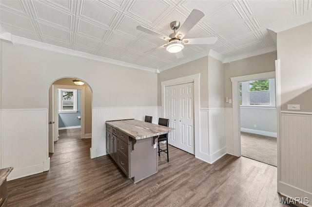 413 E Beach St, Litchfield, IL 62056 - kitchen with a breakfast bar area, arched walkways, wainscoting, a ceiling fan, and dark wood-style flooring