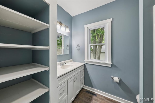 413 E Beach St, Litchfield, IL 62056 - bathroom featuring vanity and wood finished floors