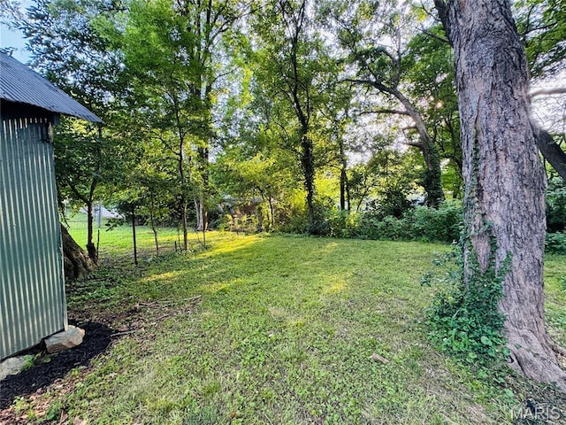 719 N 10th St, Poplar Bluff, MO 63901 - view of green lawn