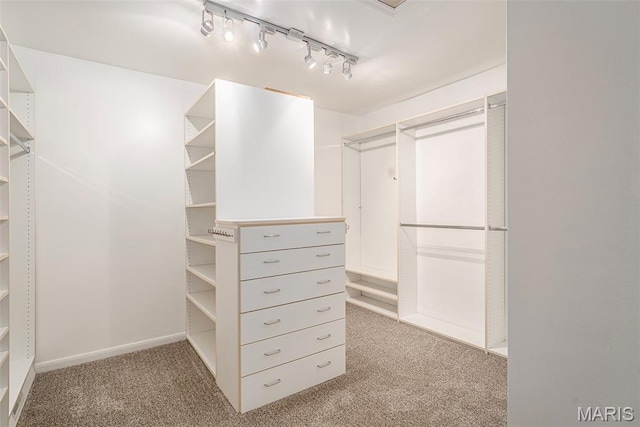 1016 Scenic Oaks Ct, Imperial, MO 63052 - spacious closet with carpet floors