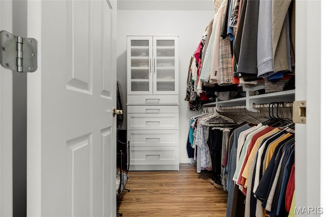 2260 Crimson View Dr, Wildwood, MO 63011 - walk in closet with light wood-style floors