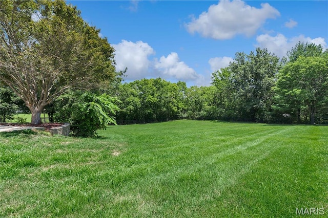 335 Merrimac Downs, Saint Peters, MO 63376 - photo 11
