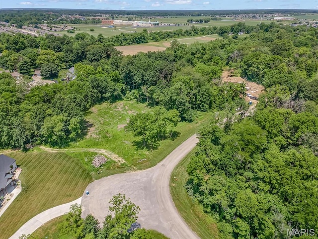 1959 Winding Rose Ln, Troy, IL 62294 - photo 1