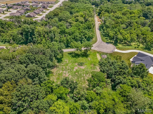 1959 Winding Rose Ln, Troy, IL 62294 - photo 4
