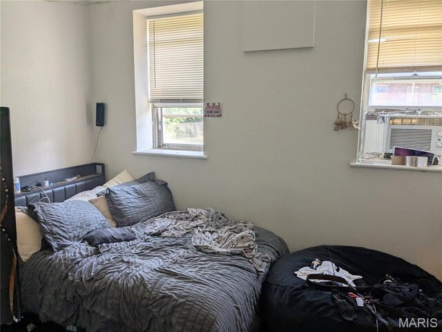 3744 Michigan Ave, Saint Louis, MO 63118 - bedroom with multiple windows and cooling unit