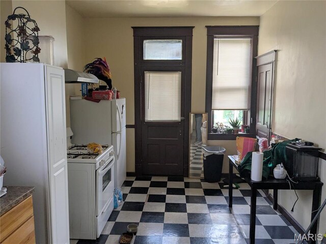 3744 Michigan Ave, Saint Louis, MO 63118 - entryway featuring dark floors and plenty of natural light