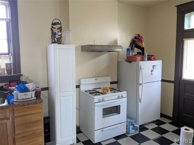 3744 Michigan Ave, Saint Louis, MO 63118 - kitchen with white appliances, light flooring, extractor fan, and healthy amount of natural light