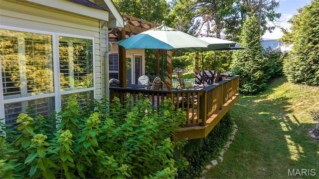 1168 Oak Knoll Manor Ct, Saint Louis, MO 63119 - view of green lawn featuring a deck