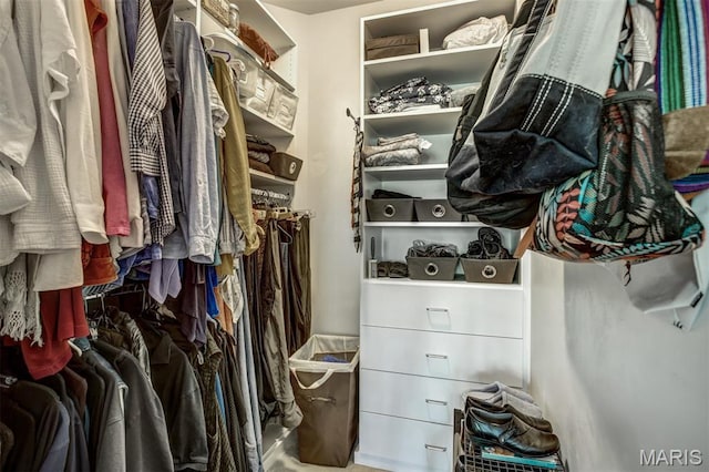 1168 Oak Knoll Manor Ct, Saint Louis, MO 63119 - view of walk in closet