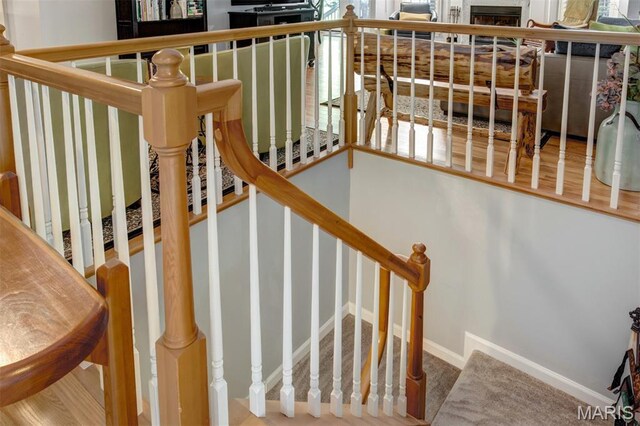 1168 Oak Knoll Manor Ct, Saint Louis, MO 63119 - stairway featuring baseboards