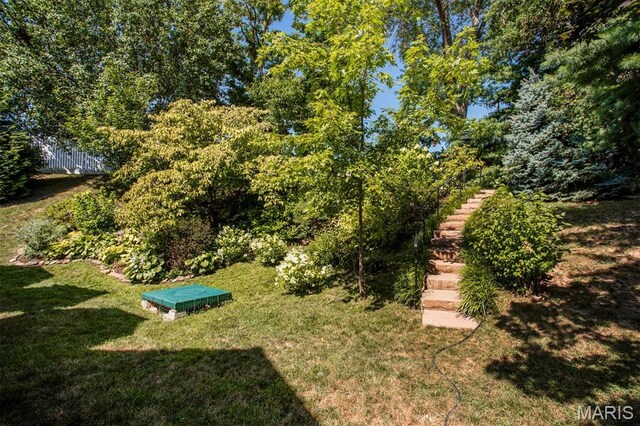 1168 Oak Knoll Manor Ct, Saint Louis, MO 63119 - view of grassy yard featuring stairs