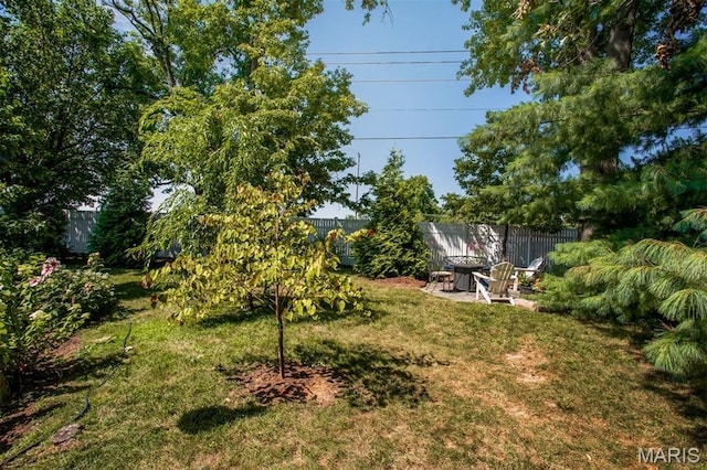 1168 Oak Knoll Manor Ct, Saint Louis, MO 63119 - view of yard