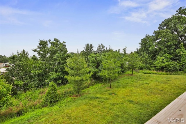 2904 Sierra View Ct, Imperial, MO 63052 - view of yard
