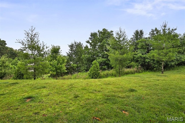 2904 Sierra View Ct, Imperial, MO 63052 - view of grassy yard