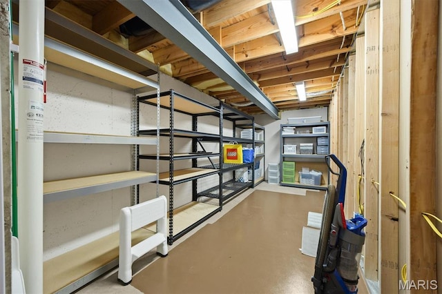 1211 Conrad Ln, Ofallon, IL 62269 - view of storage