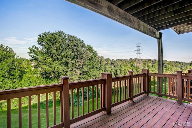 1059 Hidden Ridge Trl, Valley Park, MO 63088 - photo 5