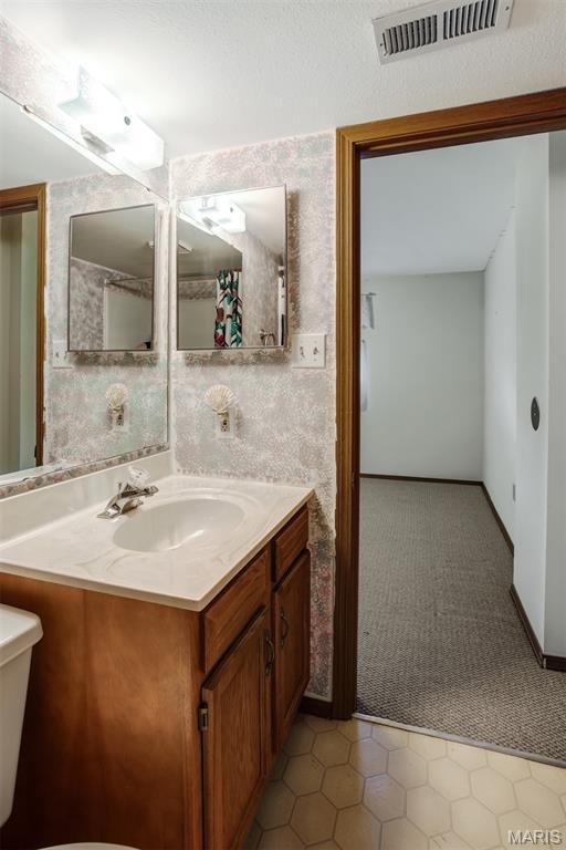 1059 Hidden Ridge Trl, Valley Park, MO 63088 - photo 43