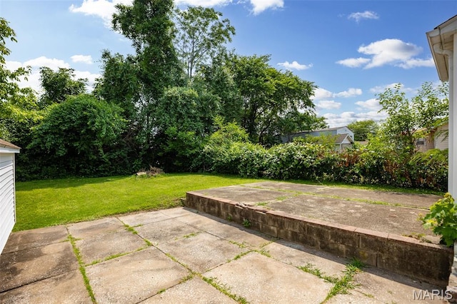 3513 Coronado Dr, Alton, IL 62002 - view of green lawn featuring a patio