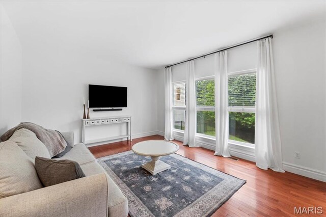 1412 Heritage Valley Dr, High Ridge, MO 63049 - living room featuring wood finished floors